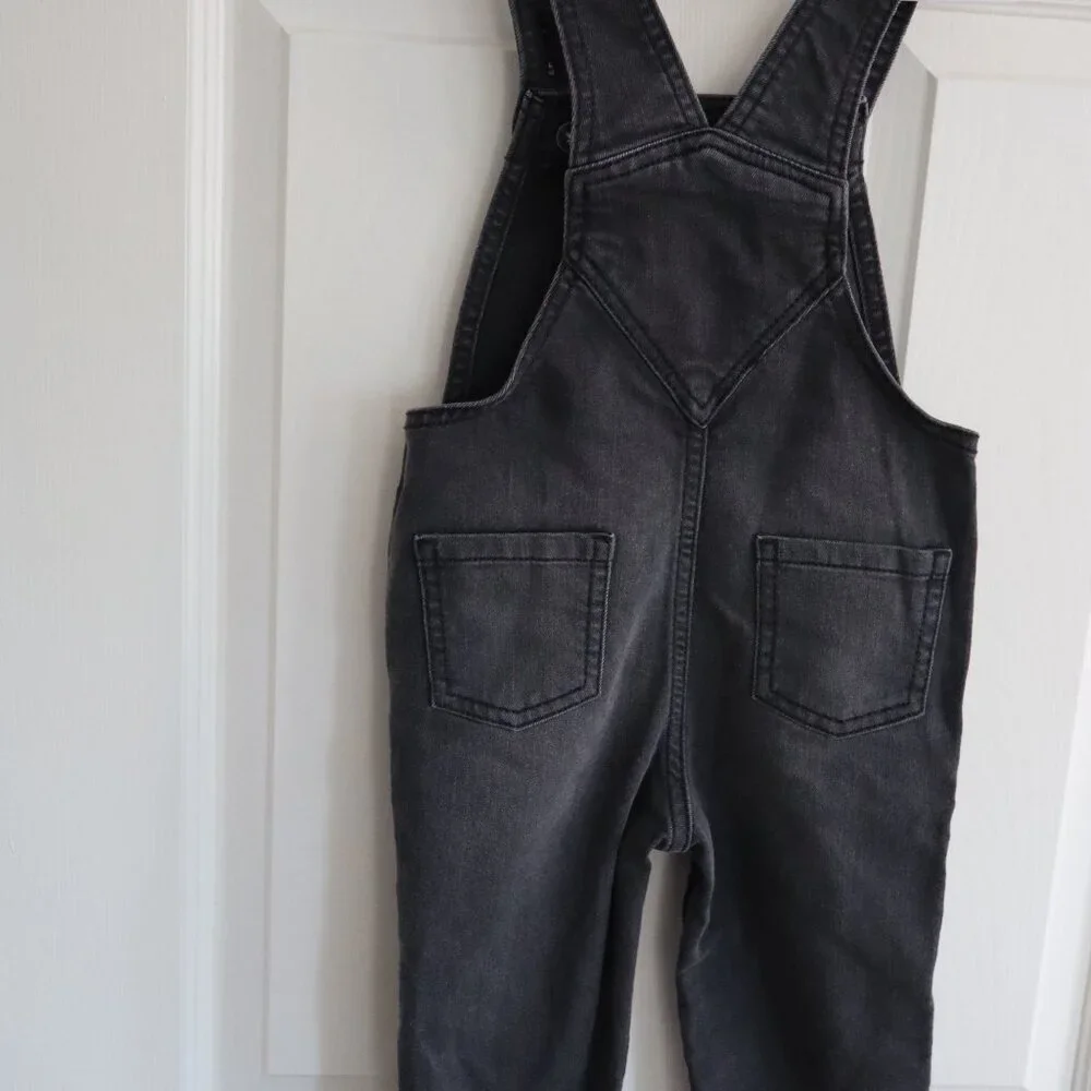 Old Navy Overalls with floral embroidery detail 2T